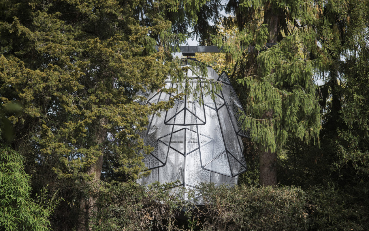 Cabanon Pomme de pin
