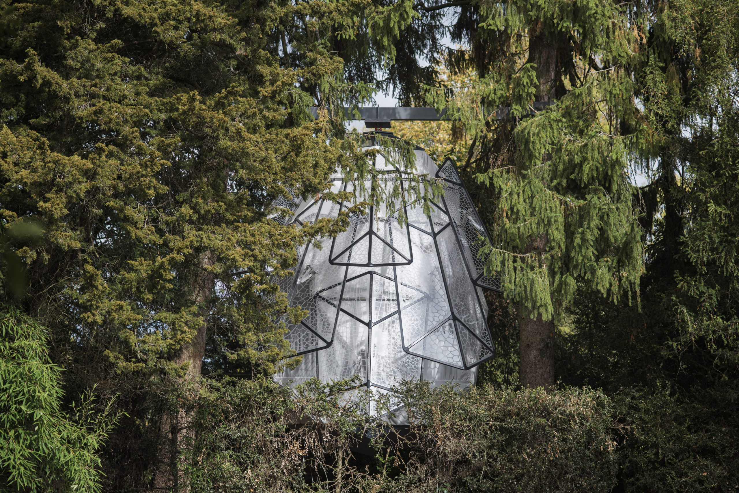 Cabanon Pomme de pin