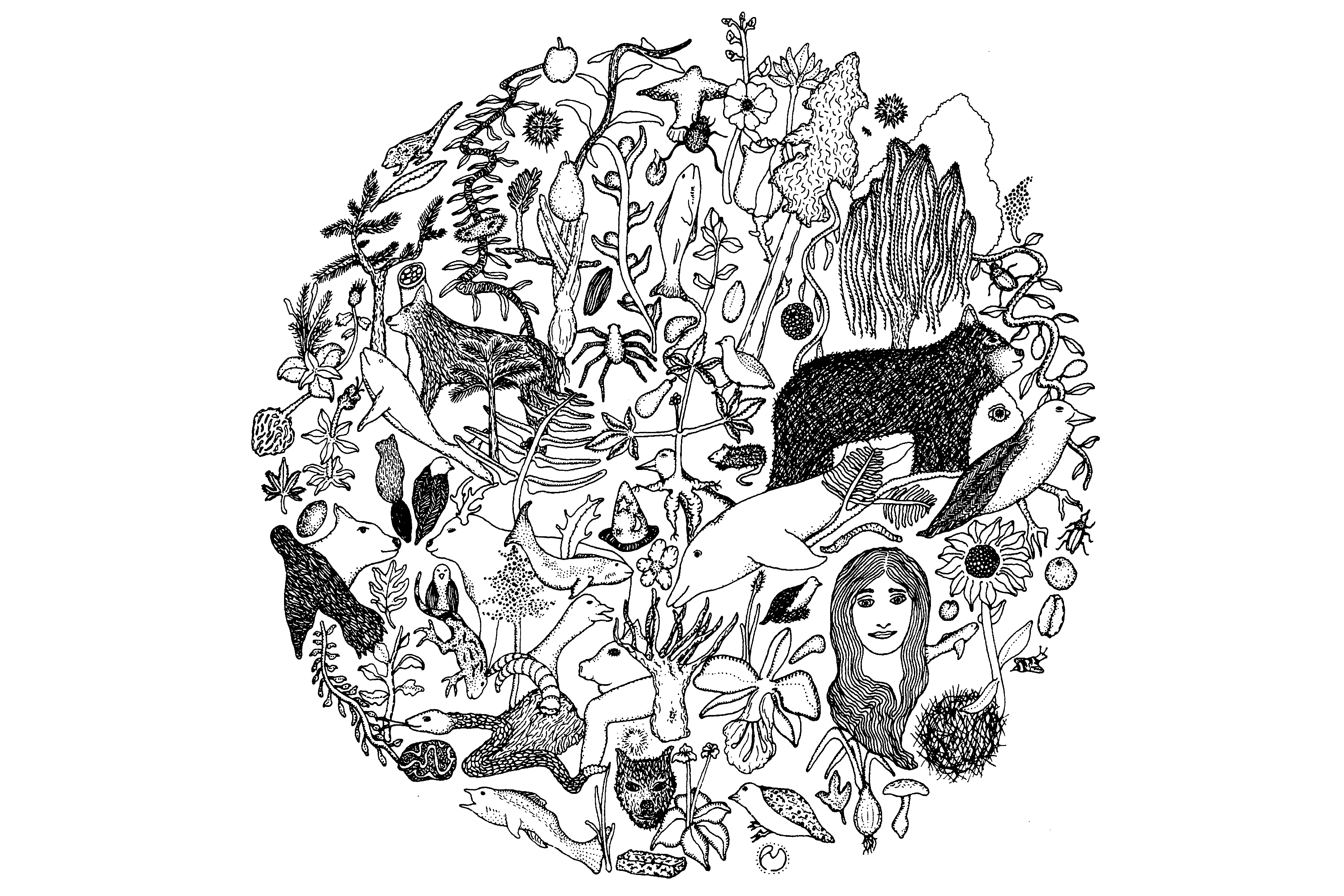 « L’art d’habiter la Terre. La vision biorégionale » de Kirkpatrick Sale