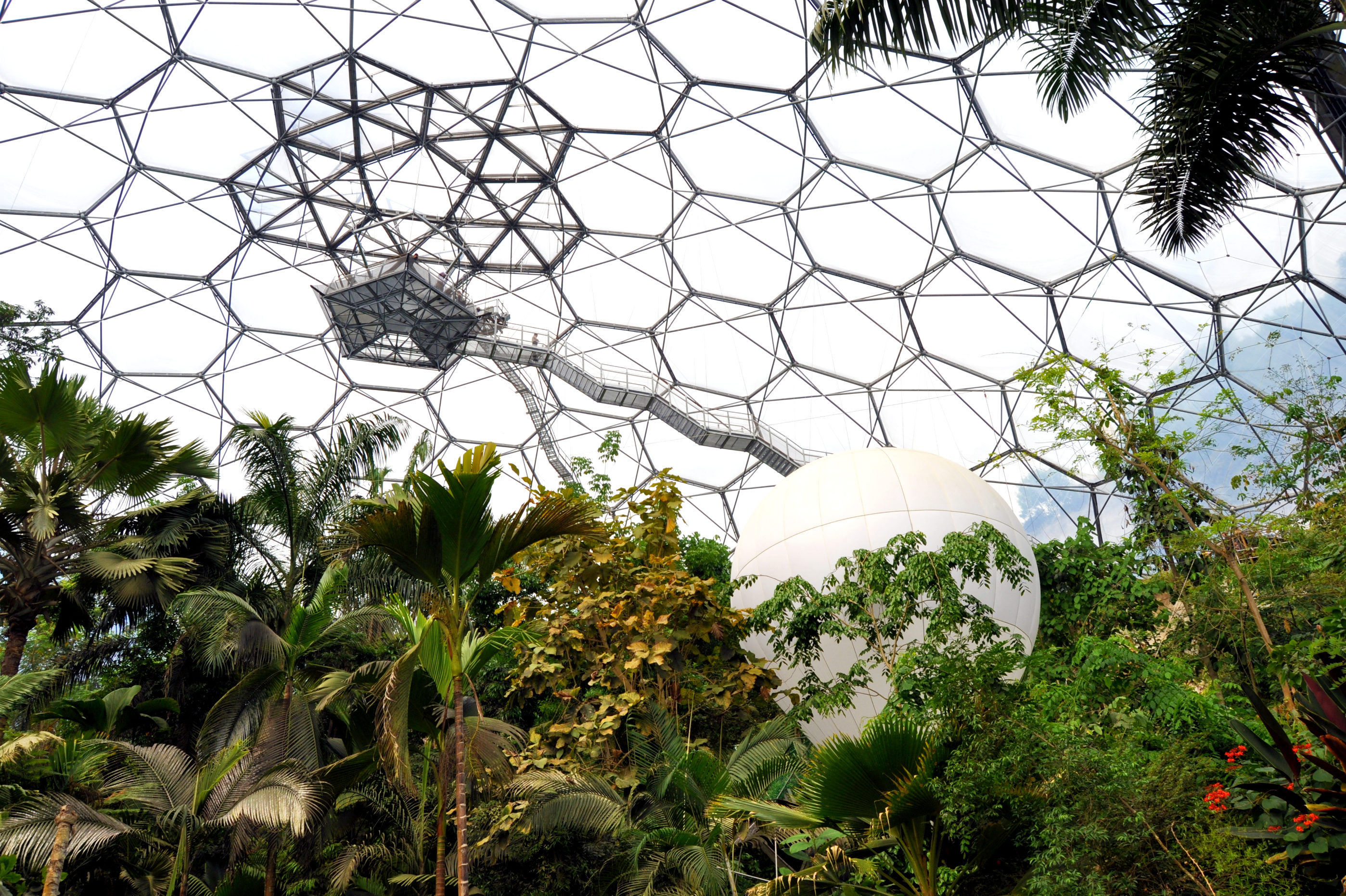 « Biomimétisme & Architecture » de Michael Pawlyn