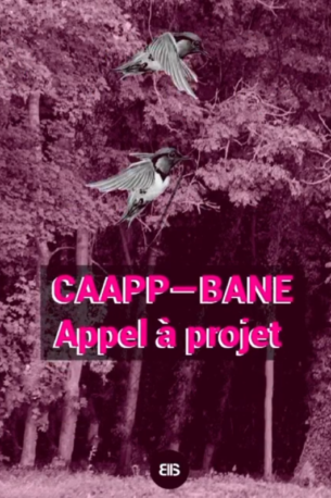 CAAPP-BANE | Bellastock