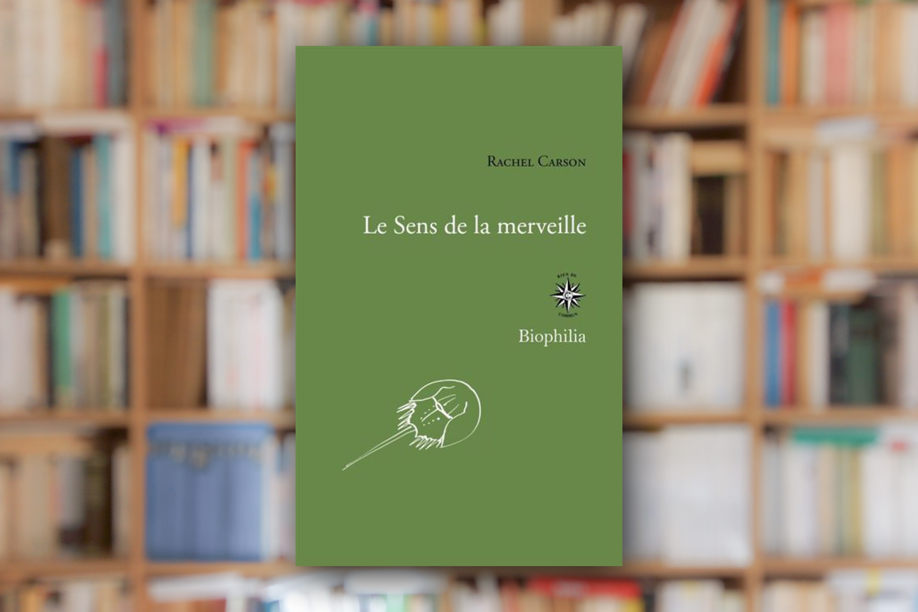 « Le sens de la merveille » de Rachel Carson