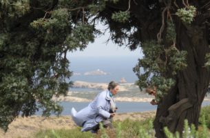 Rêves de jardin | Louisa Jones | Femmes et paysage en Méditerranée