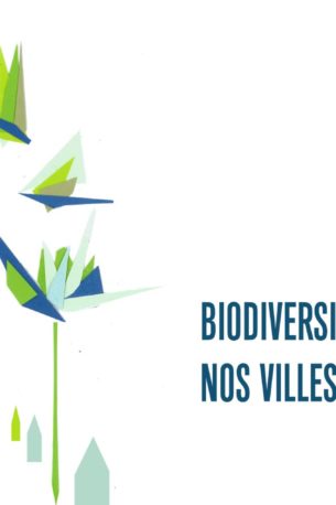 Biodiversifier nos villes | Petites leçons de ville