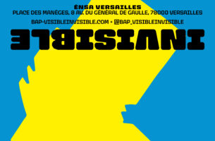 Visible invisible I BAP
