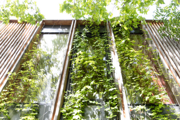 Nebraska - Maison paille porteuse — Les plantes grimpent le long de cables et filtrent le soleil en façade sud // Association Nebraska / Topophile