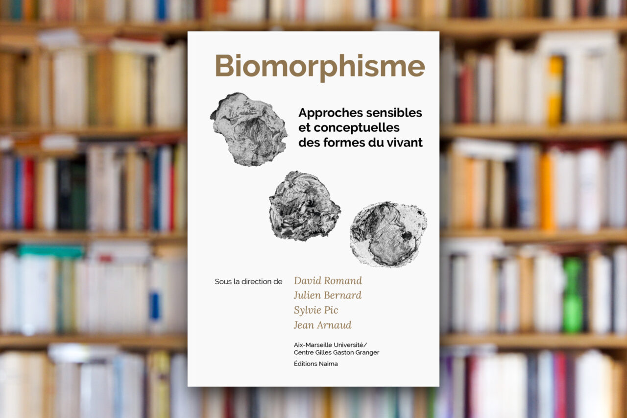 « Biomorphisme » sous la direction de David Romand, Julien Bernard