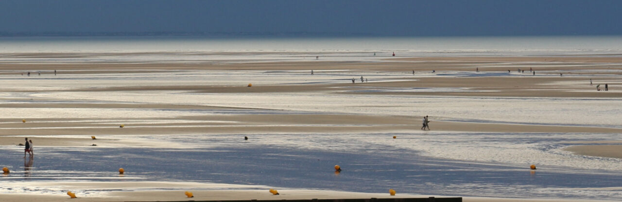 Julien Gracq, ou le sens des paysages