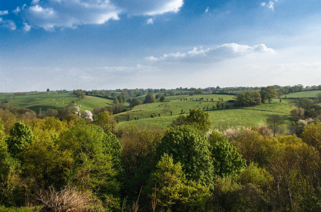 Julien Gracq, ou le sens des paysages