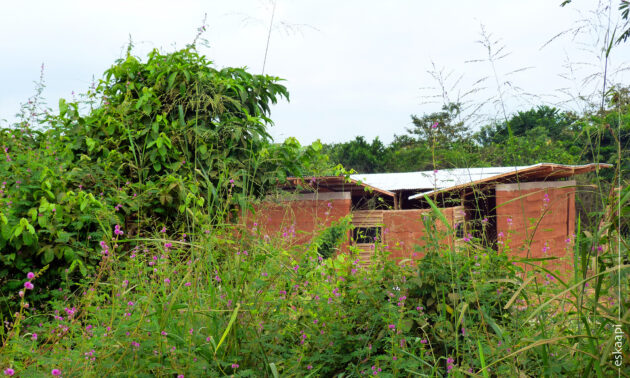 Eskaapi - Bibliothèque Abetenim — Le goupe scolaire est entouré de Mimosa pudica et de plantations d'orangers // Eskaapi / Topophile