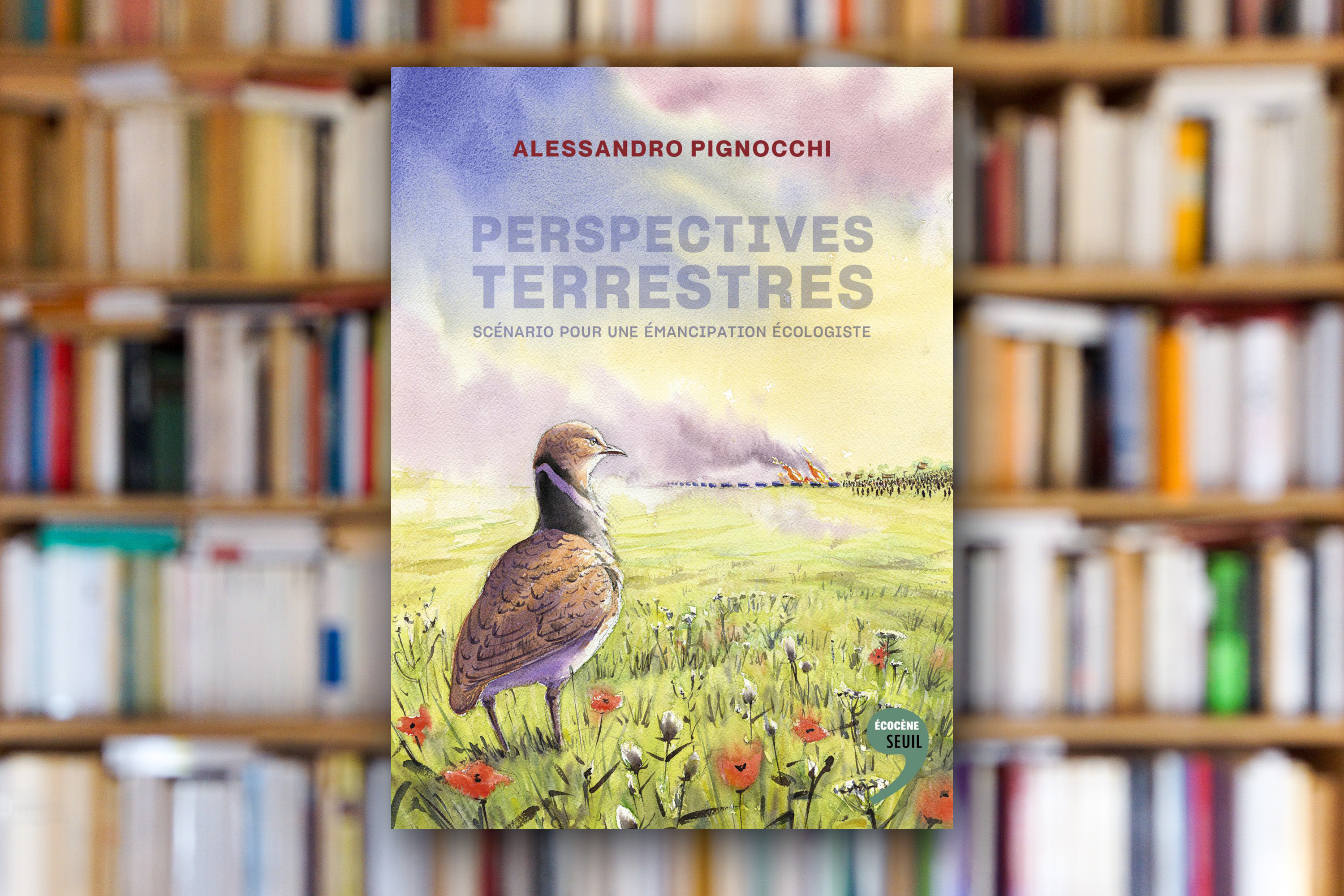 « Perspectives terrestres » d’Alessandro Pignocchi