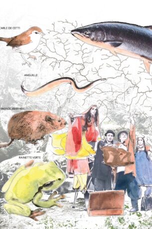 Biorégionalisme et territoires, quelle écologie en perspective ?