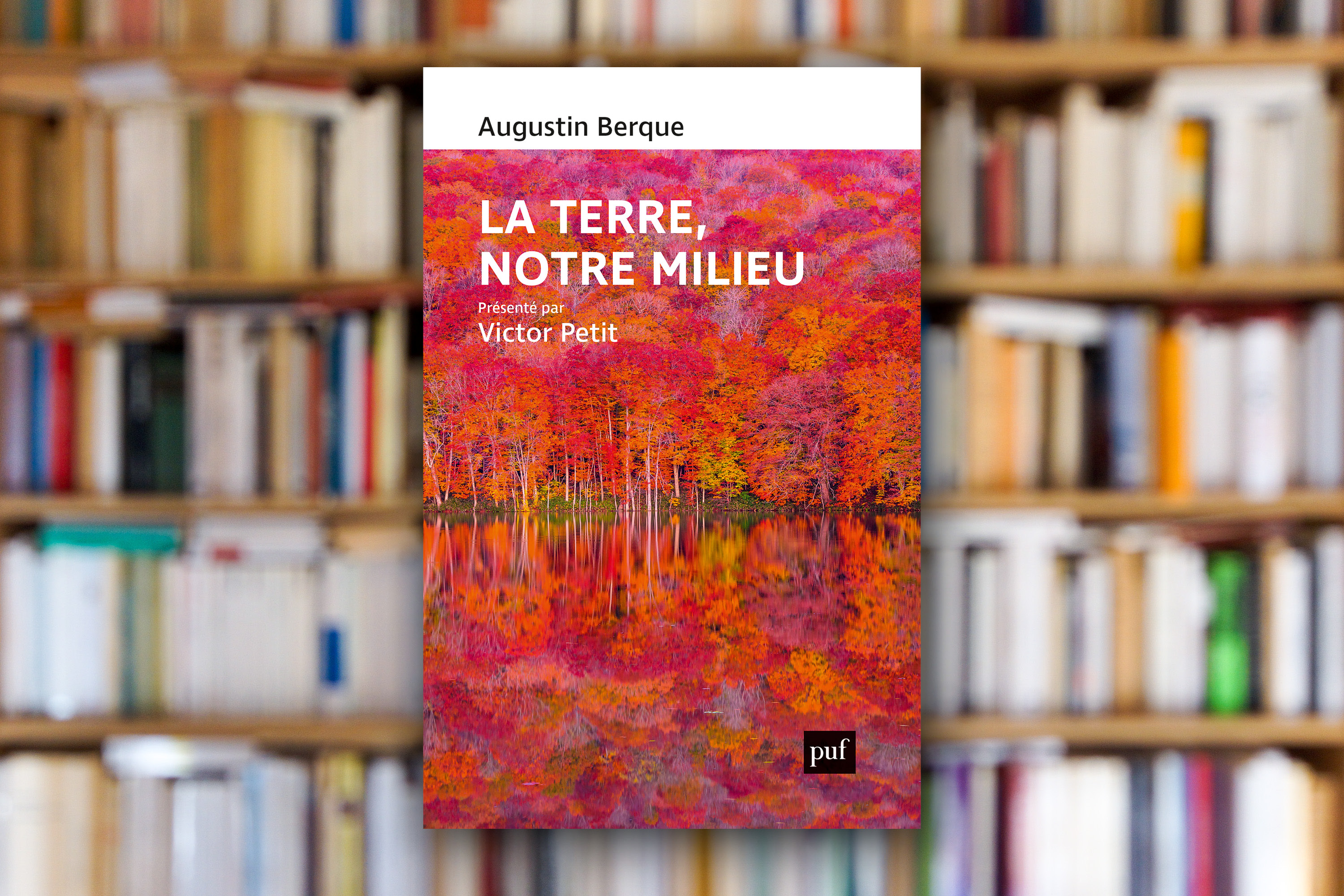 « La Terre, notre milieu » d’Augustin Berque