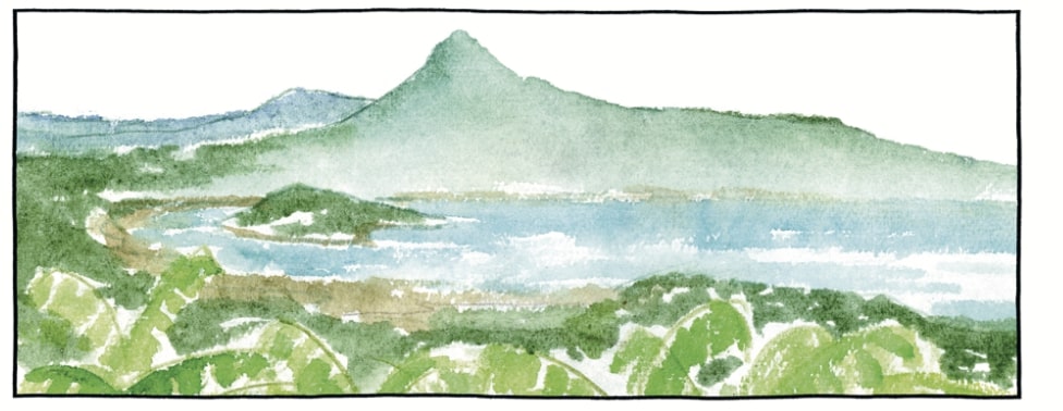 A Mayotte, reconstruire avec le bambou et l&#039;agroforesterie