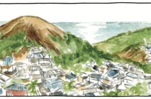 A Mayotte, reconstruire avec le bambou et l’agroforesterie