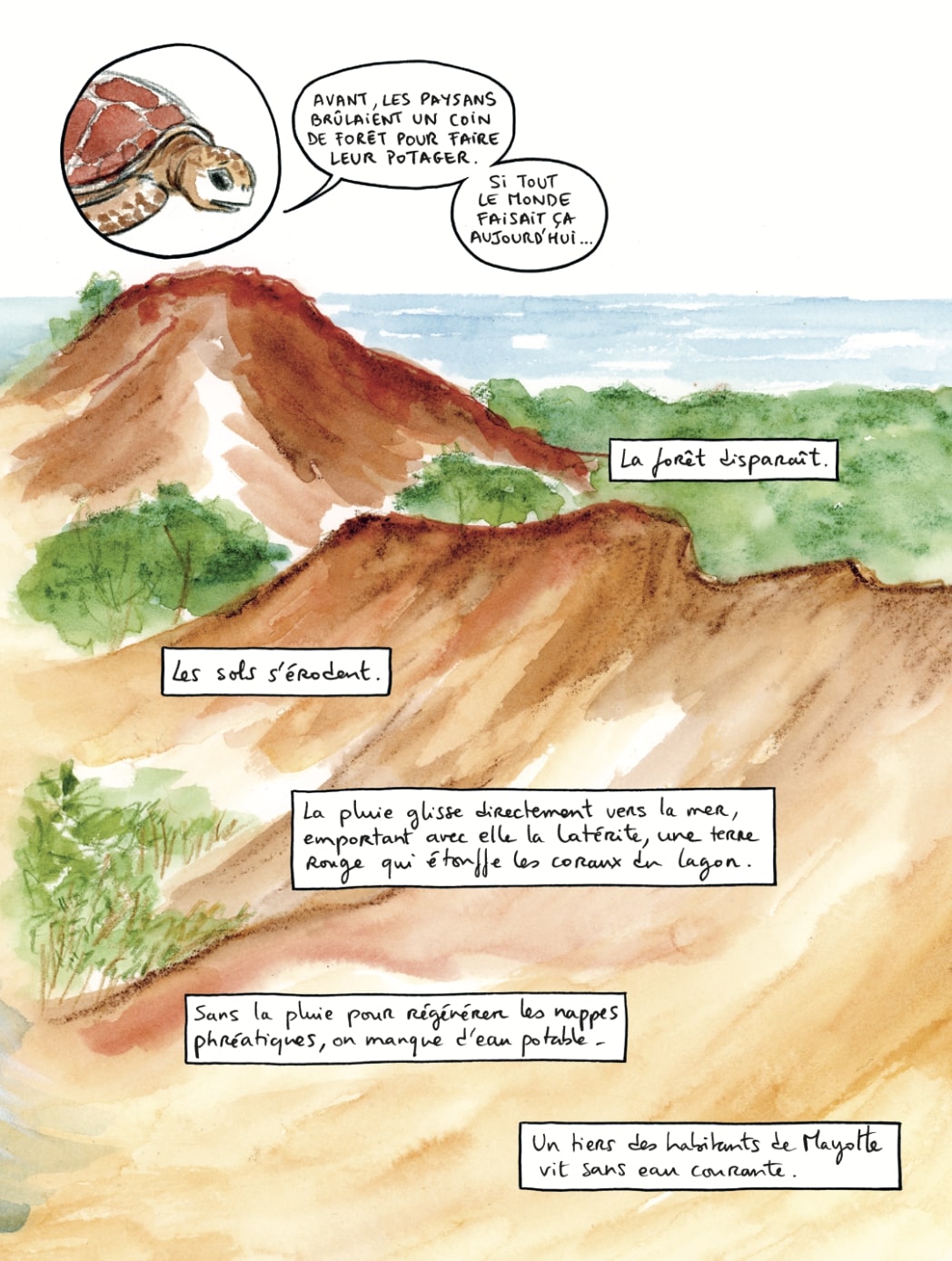 A Mayotte, reconstruire avec le bambou et l'agroforesterie 1 A Mayotte, reconstruire avec le bambou et l'agroforesterie