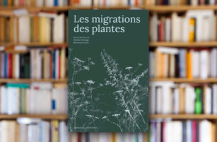 « Les migrations des plantes » sous la direction de Marion Grange et Bronwyn Louw