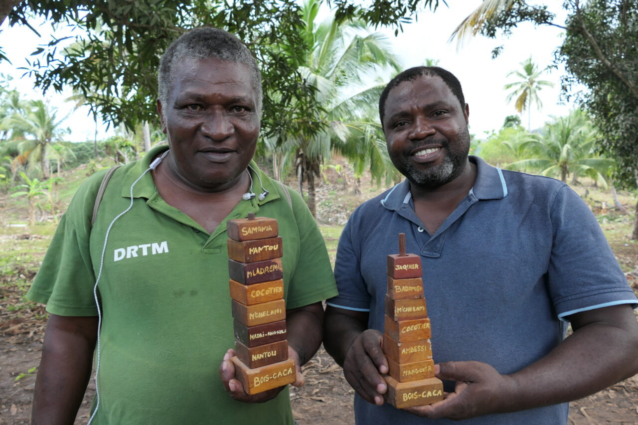 A Mayotte, reconstruire avec le bambou et l&#039;agroforesterie