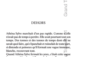 La vie inconnue. Destin et mort d&#039;Athéna Sylve | Caroline Dinet