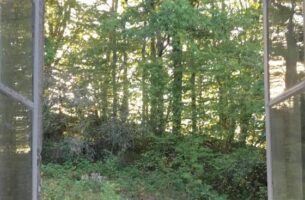 L&#039;hypothèse symbiotique : écologie, architecture, philosophie