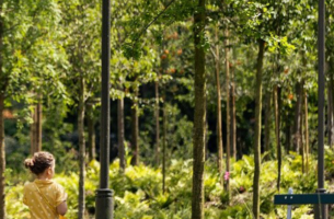 Un nouveau regard sur la nature en ville | Véronique Mure, Nicolas Roesch