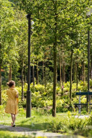 Un nouveau regard sur la nature en ville | Véronique Mure, Nicolas Roesch