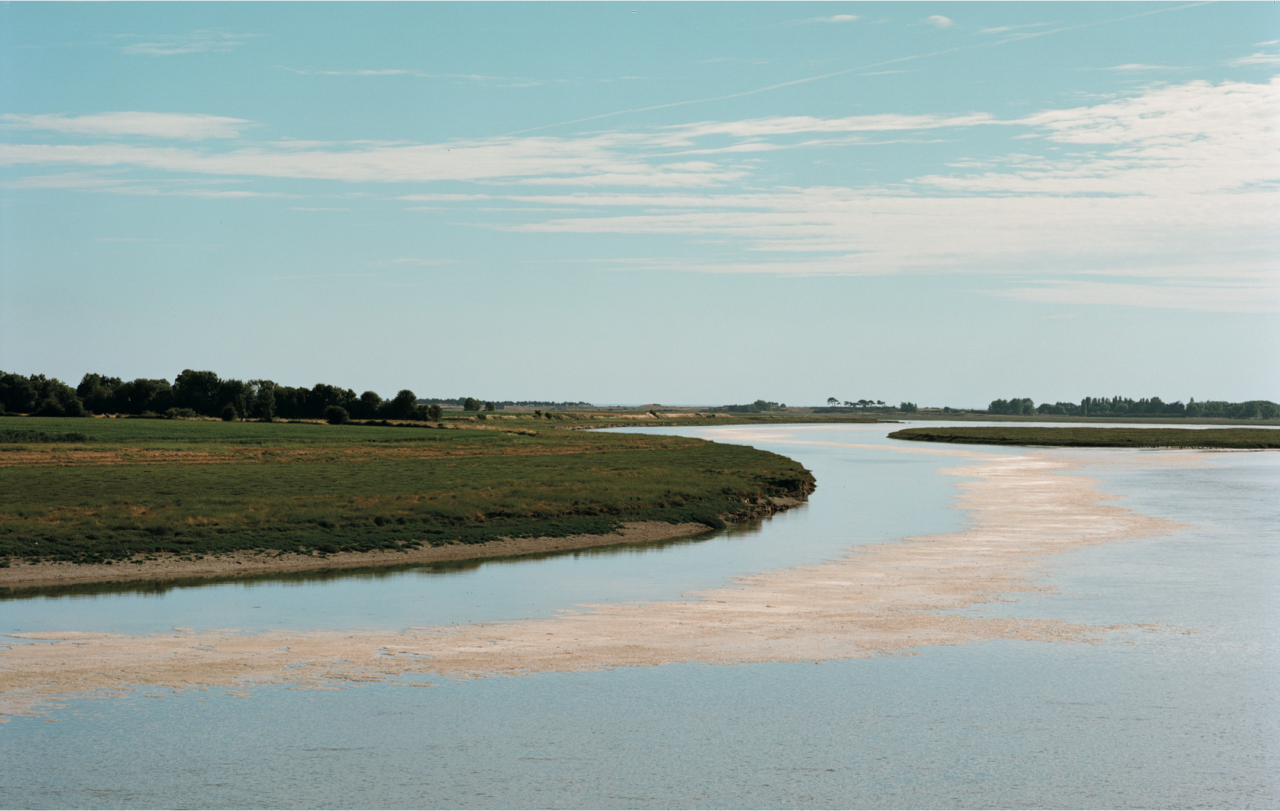 Corps aquatiques & corps-territoires
