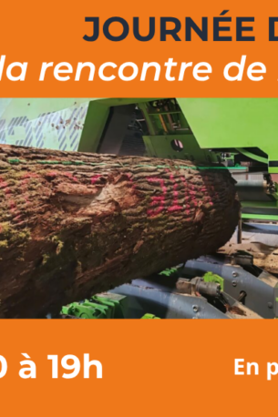 De la forêt au bâtiment : immersion dans la filière forêt-bois