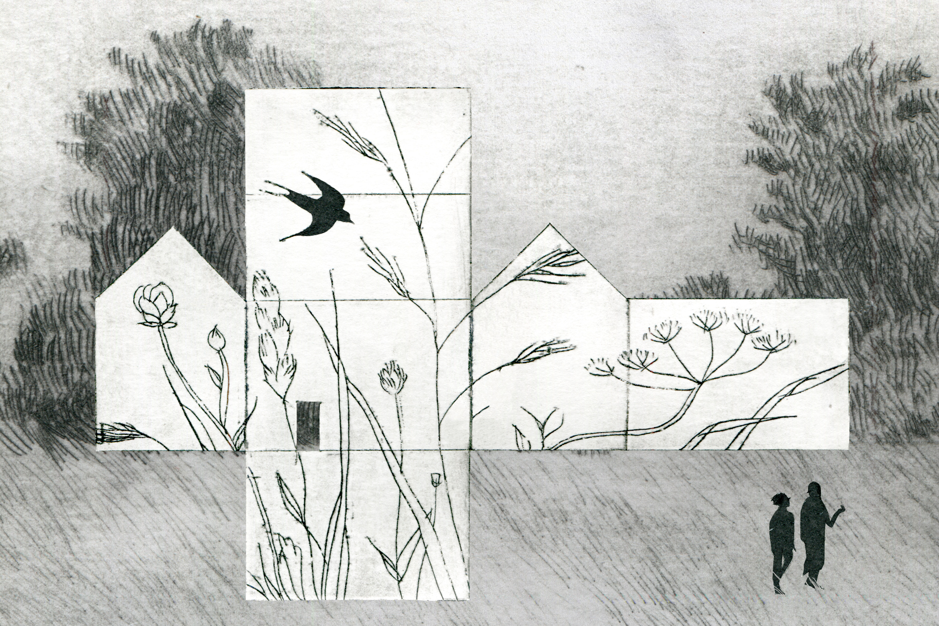Pour un enseignement de la « biodiversité » en école d’architecture